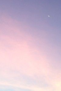 顶级射手刷新纪录荣耀登顶