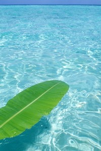 印度球队在国际比赛中迎来成功