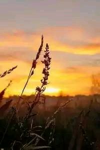 热刺中场组织稳定，球队士气高涨