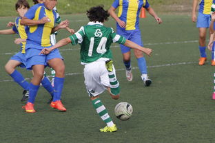 星空app官网-体育新闻中心发布体育内容原创度评估智能工具，原创体育sports